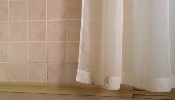 Best Residential Mold Inspection & Testing  in Danville, CA