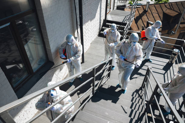 Best Mold Prevention Services  in Danville, CA